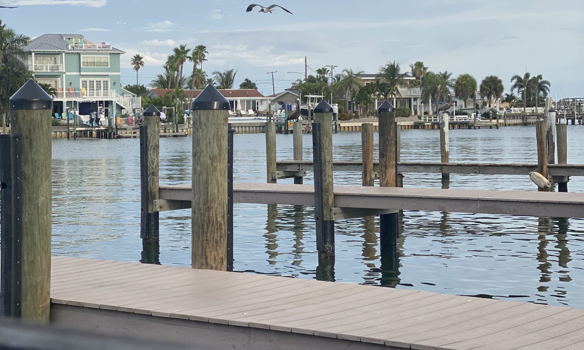 Snapshot of the Tampa Bay near a boat dock. There are houses in the background and bird, perhaps a sea gull, flying low.